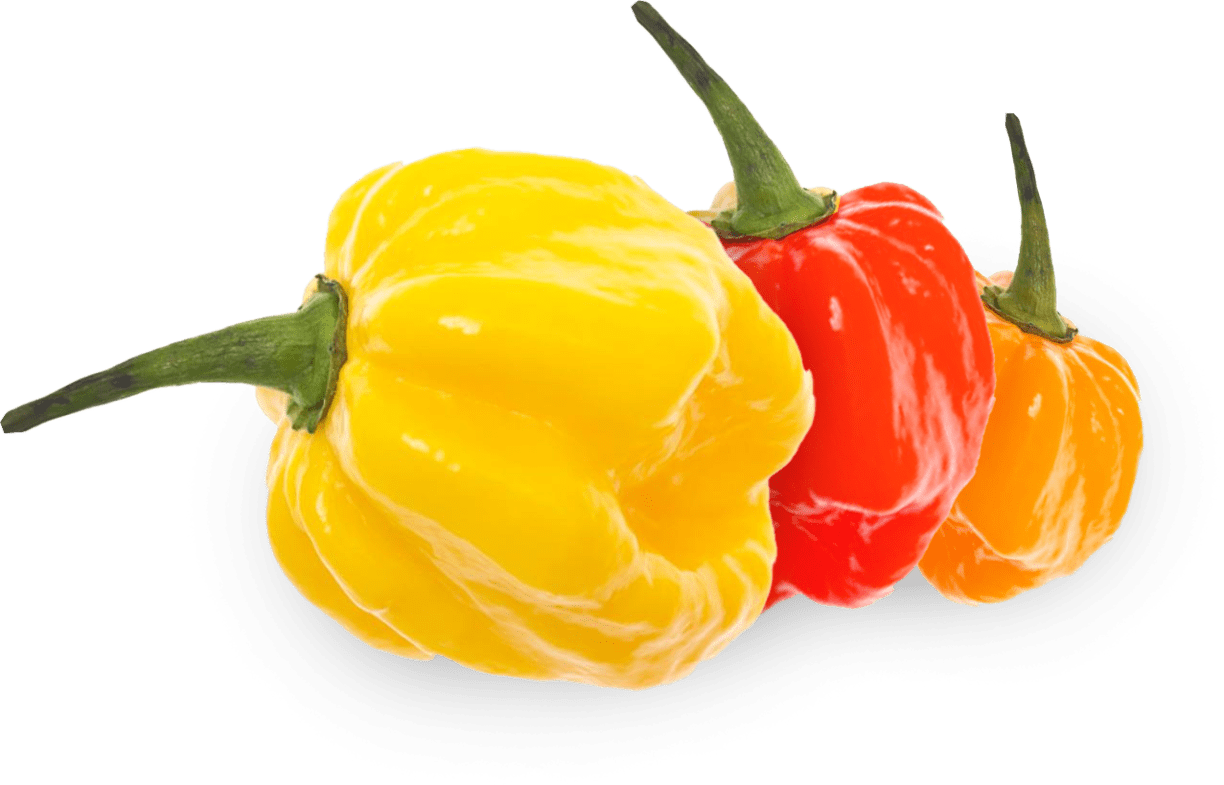 pepper